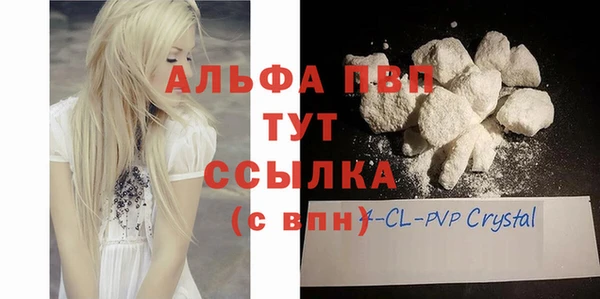 СК Бронницы