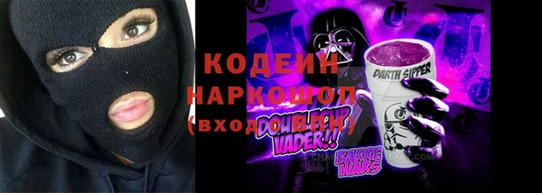 СК Бронницы