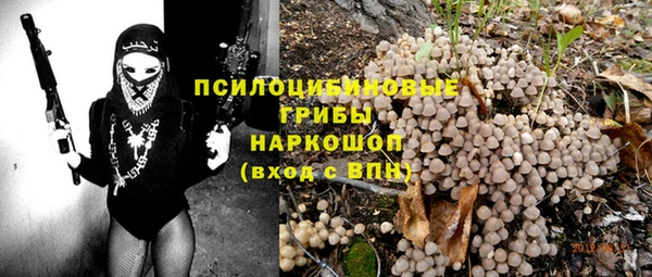 спиды Бородино