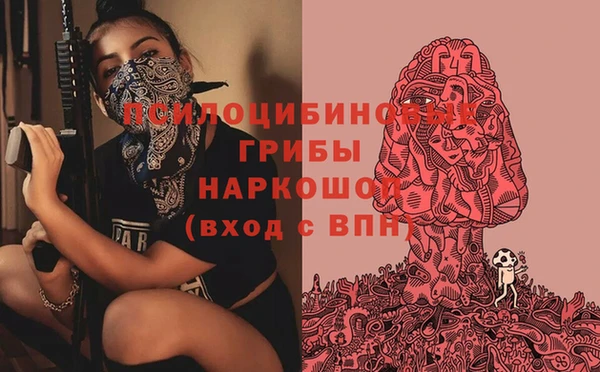спиды Бородино