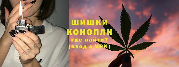СК Бронницы