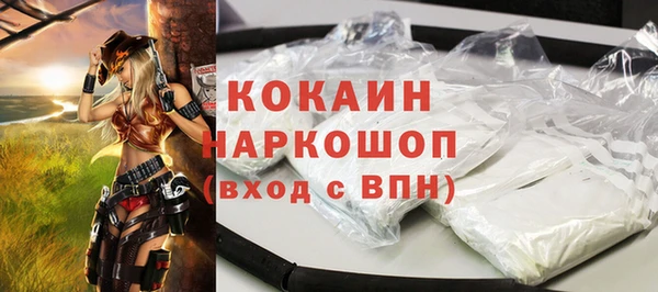 спиды Бородино