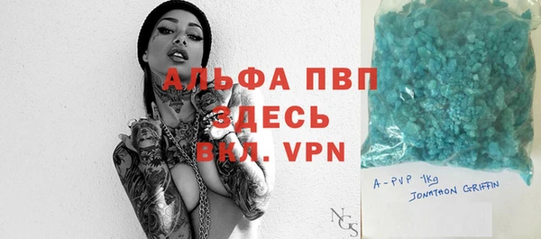 спиды Бородино