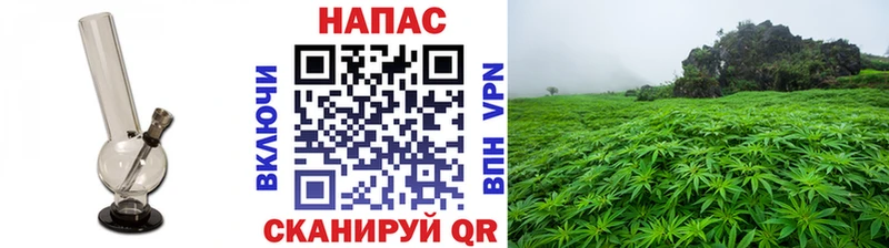 Купить закладки  Болхов  Марихуана SATIVA & INDICA 